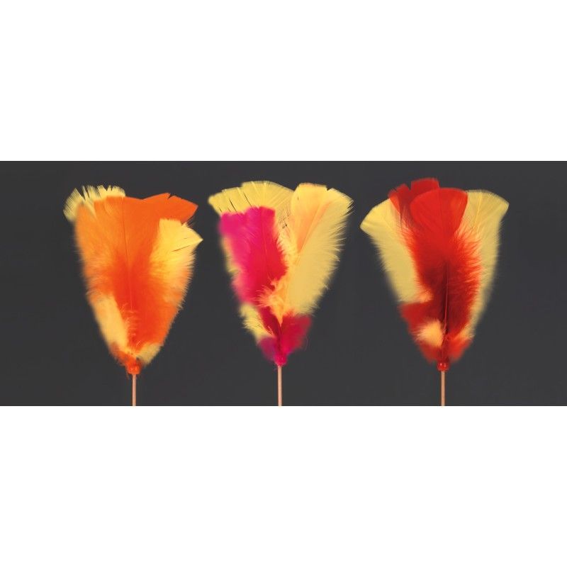 Grande plume bicolore Grande plume bicolore