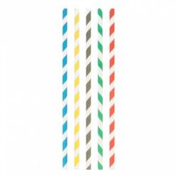 Pailles en papier multicolores (0,8cm)