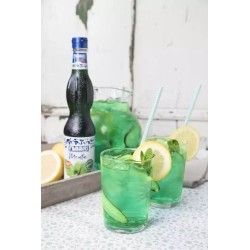 Sirop de menthe Fabbri 560 ml