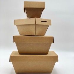 Boîte isotherme en carton 500CC
