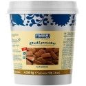 Pâte de gianduia 4,3kg