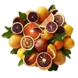 Concentré pour granité Fruits du soleil