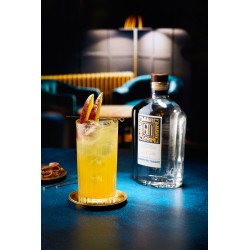 Gin Tonic Mangue