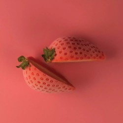Moule Fragola 120
