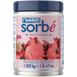 Sorbé Fruits des bois Fabbri