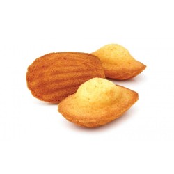 Moule madeleines