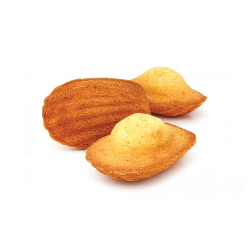 Moule madeleines [product.brand] 1 - Univers du glacier 