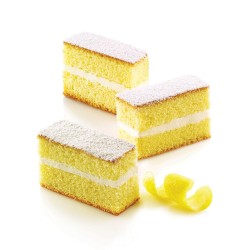 Moule cakes
