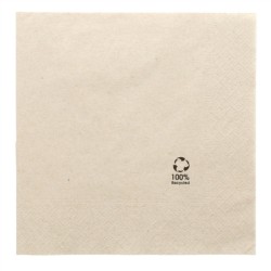 Serviettes Ecolabel 19,5x19,5cm [product.brand] 1 - Univers du glacier 