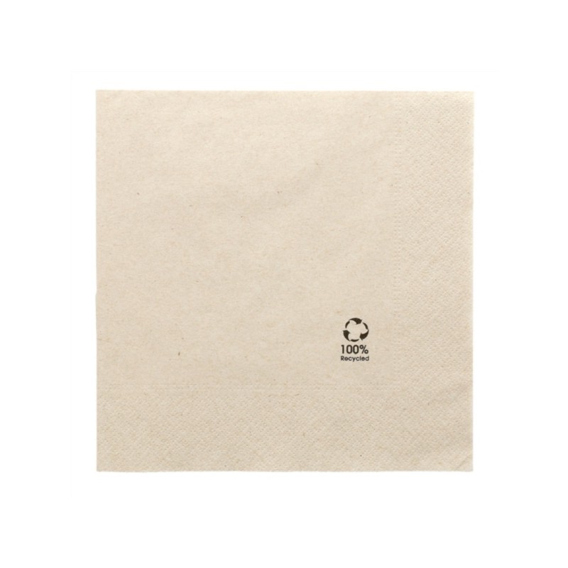 Serviettes Ecolabel 19,5x19,5cm [product.brand] 1 - Univers du glacier 