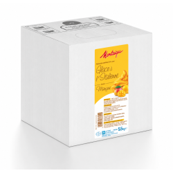 Mix Glace Mangue