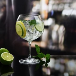 Verre Gin&Tonic 670 ml Divine
