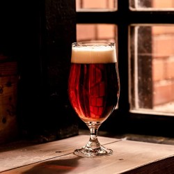 Verre à Bière 500 ml Harmony