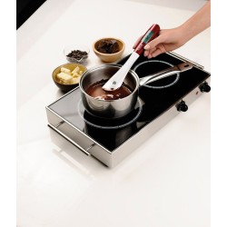 Spatule thermomètre Gobel