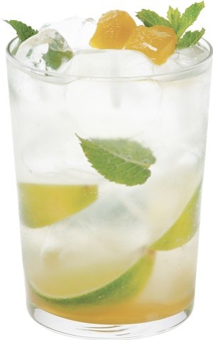 Spice Mojito